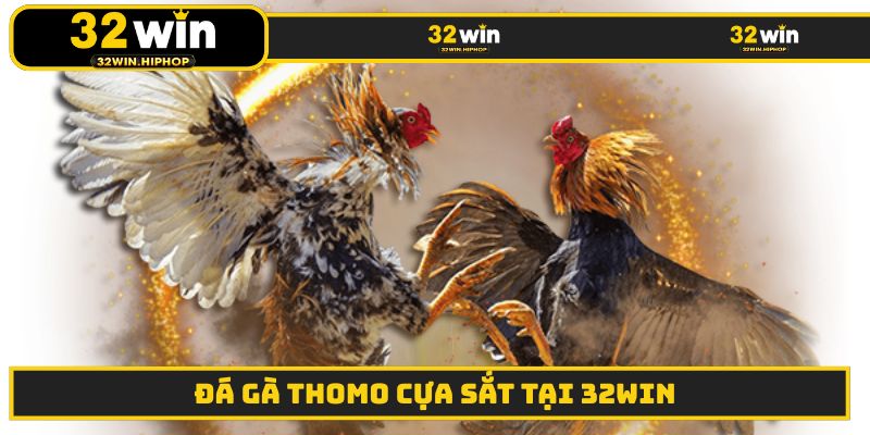 Đá gà Thomo cựa sắt tại 32WIN