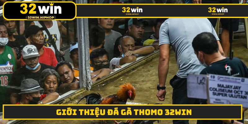 Giới thiệu đá gà Thomo 32WIN