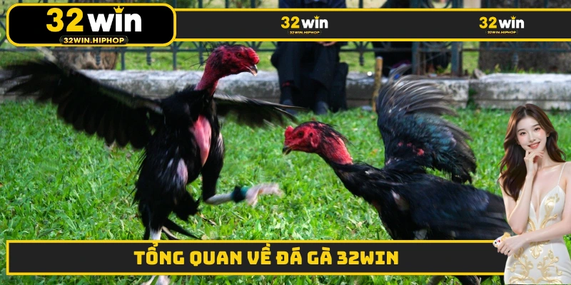 Tổng quan về đá gà 32WIN